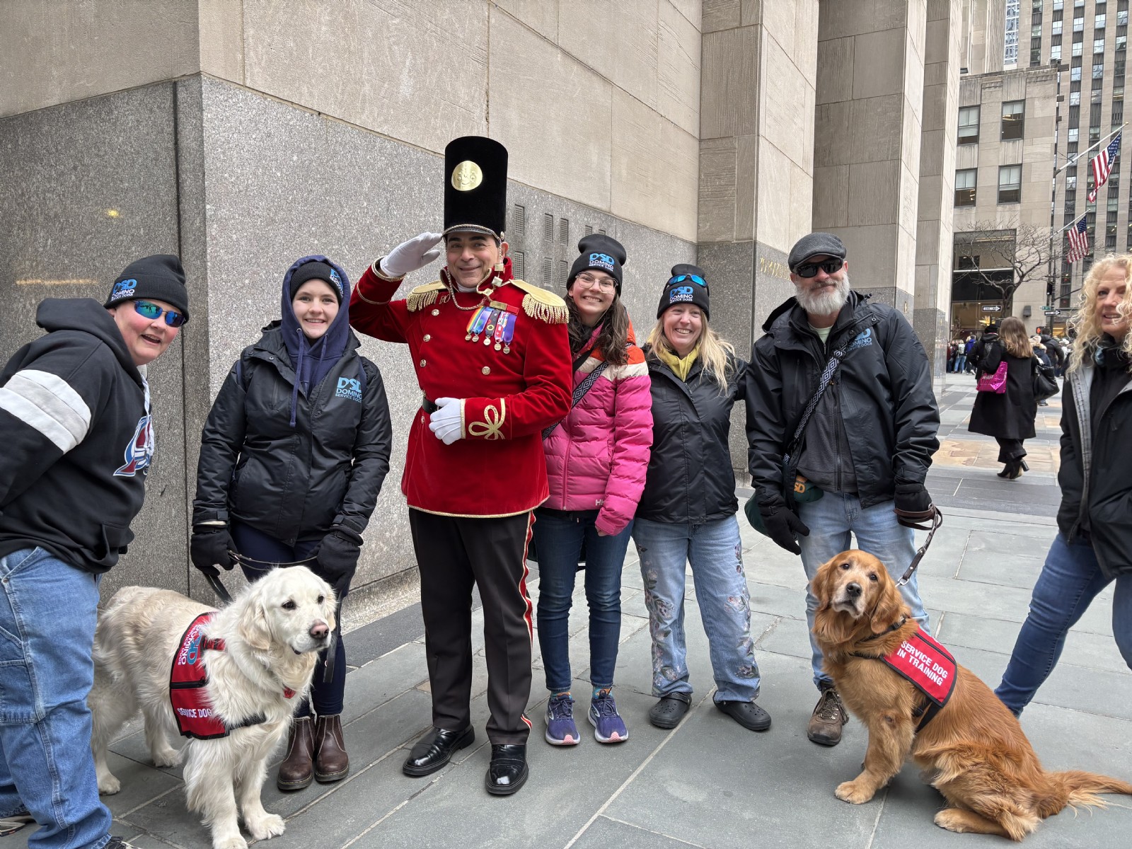 A close-up, heartwarming photo of a young black Labrador Retriever puppy sleeping soundly in the arms of a person wearing a bright blue jacket. The puppy has large, soft paws tucked over the person's arm and a relaxed, peaceful expression. The background is softly blurred, showing a classroom or office setting with a whiteboard, emphasizing the puppy's comfort and early socialization within the Domino Service Dogs environment.