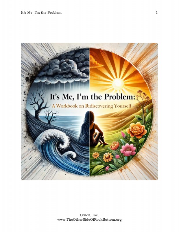 It's Me, I'm the Problem workbook cover