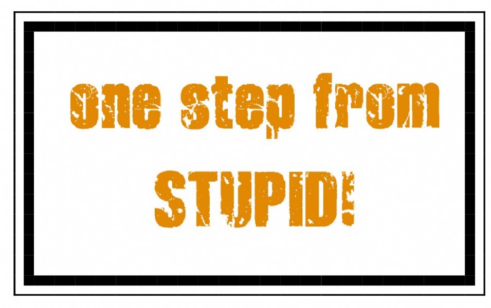 One Step from Stupid!
