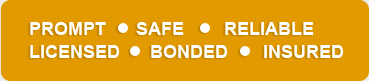 Prompt. Safe. Reliable. Licensed. Bonded. Insured.