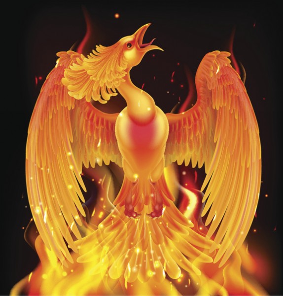 The Latest Phoenix Rising From the Ashes