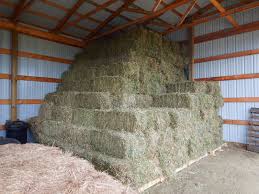 hay storage storing tips guarantee comes few inside things help there