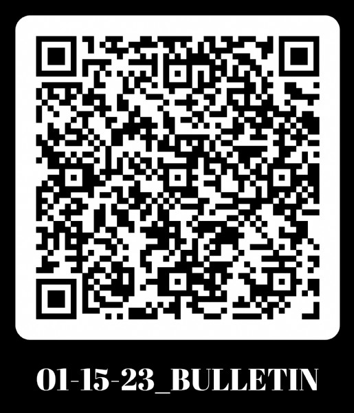 Pokémon dark worship QR code? : r/3dsqrcodes