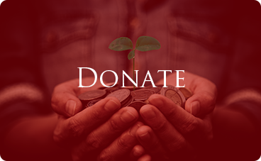 Donate