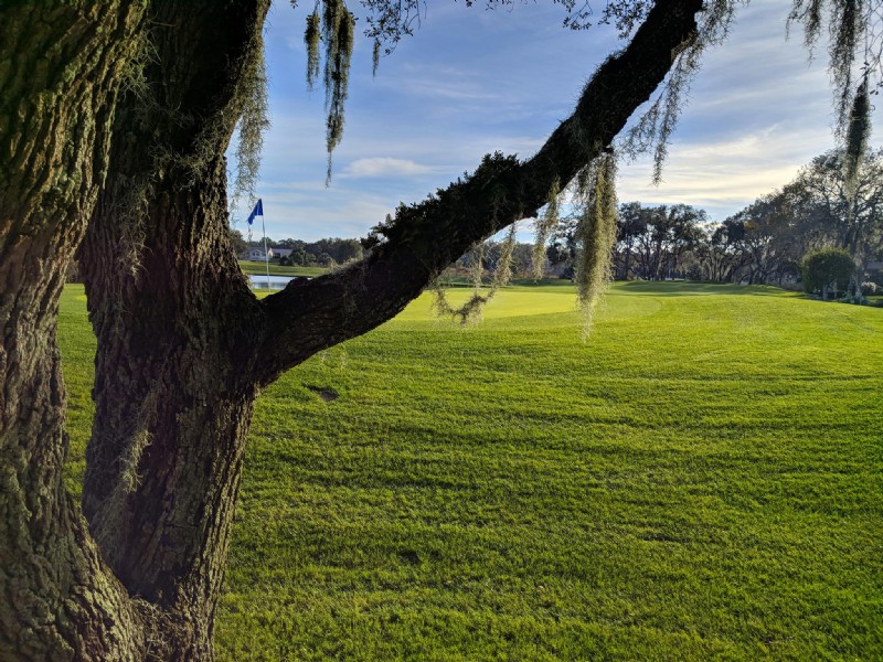 serene golf course view