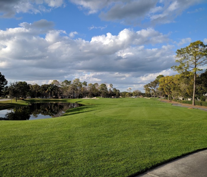 serene golf view