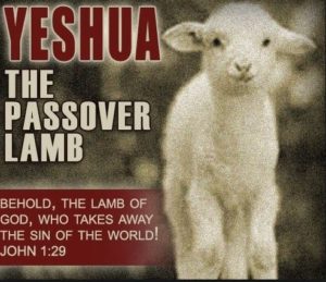 Yeshua Passover Lamb