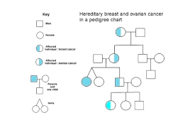 Community and family support for cancer awareness