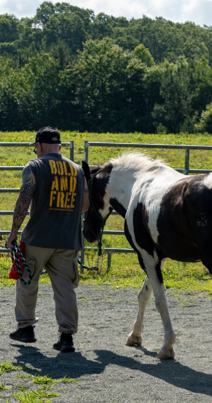 SBHF care in the community