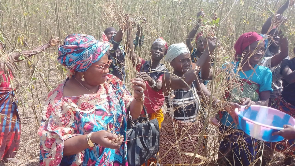 Women engaged in cooperative training