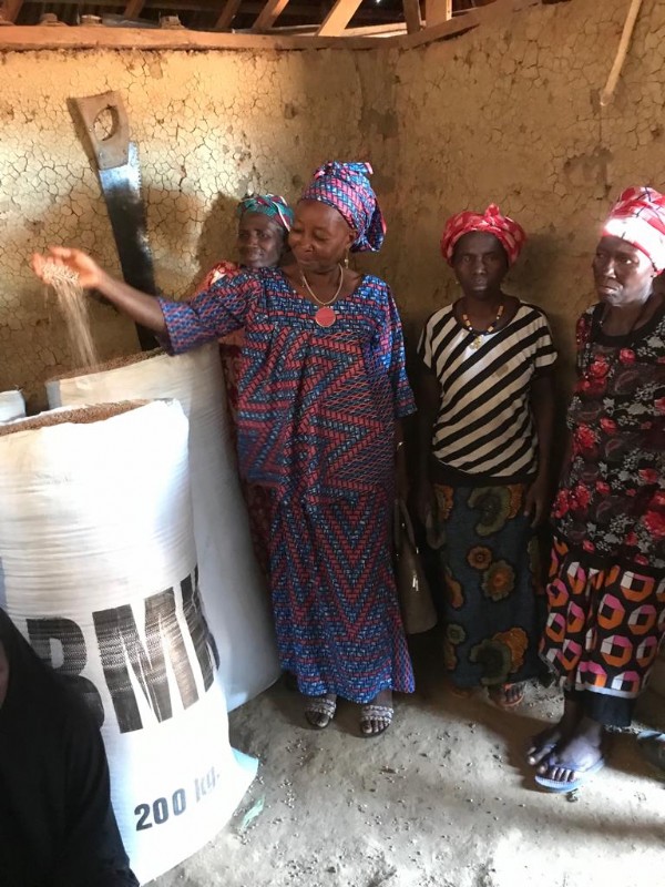 Concerned Women Kono District sub-group at Waidu Village, Gbense Chiefdom, Kono District at their konso planting site