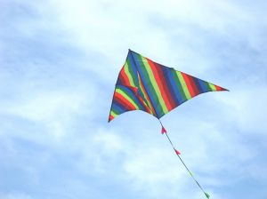 There were  
 kites like this everywhere!