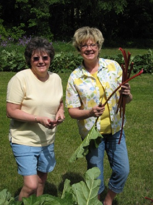 Picking some rhubarb with my sister-in-law, Diane