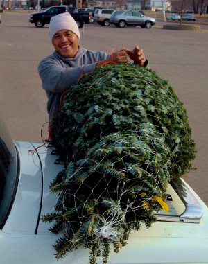 Picking out the tree...a fun experience!