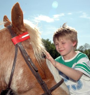 Zac with a horse friend