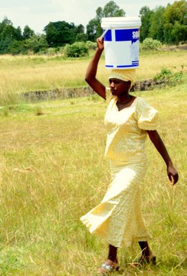 sunday school teacher carrying water