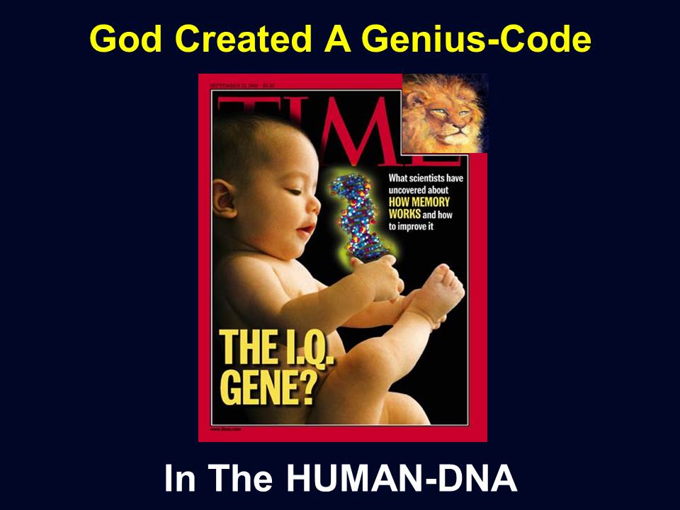 The Genius Code