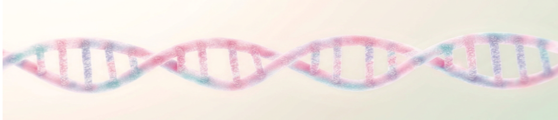 SPIRITUAL GROWTH, or faith formation, has been described not as a straight line from one point to another, but as a helix similar to this DNA strand.